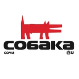 «Собака.ru» Сочи