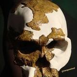 @evoluscience