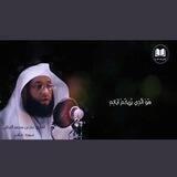 قناة القارئ بدر بن محمد التركي