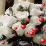 قناة أم نور اليقين🌿🌿🌷🎀🎀🎀