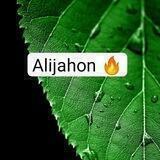 Internet Shopping | Alijahon 🇺🇿