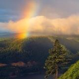 Rainbow🌈