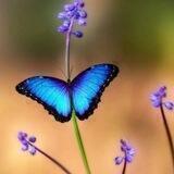 عالم من الهدوء