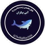 آبی بیکران l علوم دریایی