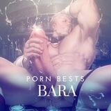 PornBestsBara