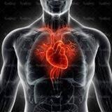 حرکات اصلاحی پزشکی ورزشی