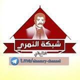 شبكة النمري للإنتاج الفني