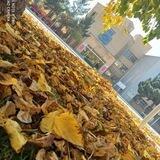 مدیریت امور عمومی دانشکده مهندسی