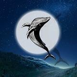 BlackWhale Calls