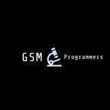 GSM Programmer's Files B19