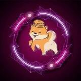 Cute Shiba Inu | BSC