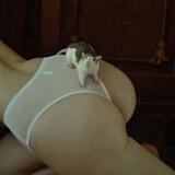MyshMysh (18+)
