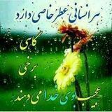 💚ریحانه های چادری💚