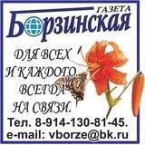 Борзинская газета🗞