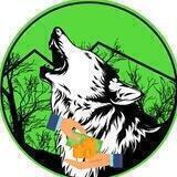 Wolf Safe Poor People | China🇨🇳