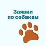Безнадзорные собаки | Приём заявок
