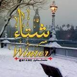 💜 winter | شتاء