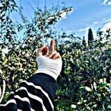 - شبدك؟ .