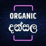 Organic දන්සල💯🆓