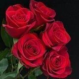 🌹ورود النصيحة 🌹للنساء فقط🌹