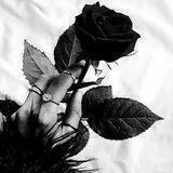 🖤𝑸𝒐𝒓𝒂 𝑨𝒕𝒊𝒓 𝑮𝒖𝒍𝒊𝒎🖤