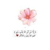 جميل الكلام ✨🔔