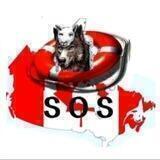 🆘CANADA Patriots - Digital Soldiers *WWG1WGA*