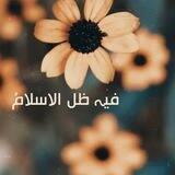 فيہ ظل الٳسلامْ 💛🌻