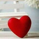 القلب ♥