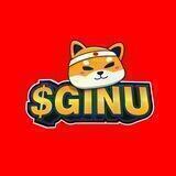 $GINU - 外部監査 犬 Fairlaunch