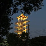 亚太新闻《小飞猪》吃瓜 爆料