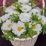 Kasansay flowers 🌺🌺🌺
