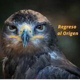 Regreso al Origen ✳️