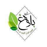 حلقات بلاغ النسائية☘️