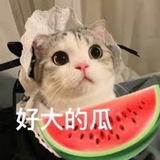 亚太吃瓜 @悬赏