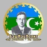 БашНацПолит