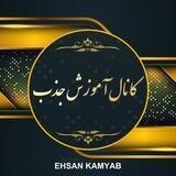آموزش جذب دالی ورک