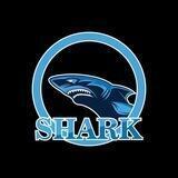 𝐏𝐑𝐎𝐎𝐅 𝐒𝐇𝐀𝐑𝐊 🦈༗.