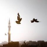 َسَرً السَعِادًةَ ... 🌿