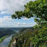 Eichengeflüster