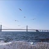 大连星海