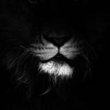 TRUTH Roars
