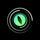 Spin I Announcements