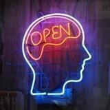 Open Minds Inc.