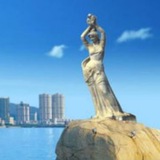 珠海品茶资源