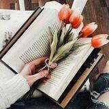 ᏉᎬᏒsíᏟuᏞᎾs ᎠᎥáᏒᎥᎾs 📚