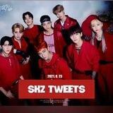 -ˏ` STAY TWEETS ˎˊ- 