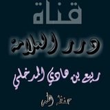 قناة درر العلامة ربيع بن هادي المدخلي حفظه الله