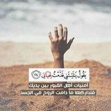 إلىٰ موطِن يُدعىٰ الجنَّة.