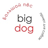 Bigdog_ekb приют для собак🏡🐕💚